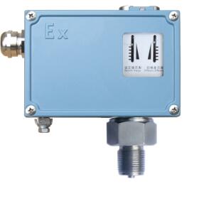 PS30N系列防爆壓力開關(guān)